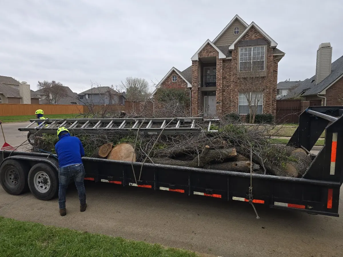 Expert Tree Fertilization with proper safety equipment in Williston
